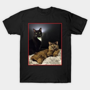 Peanut and Baba T-Shirt